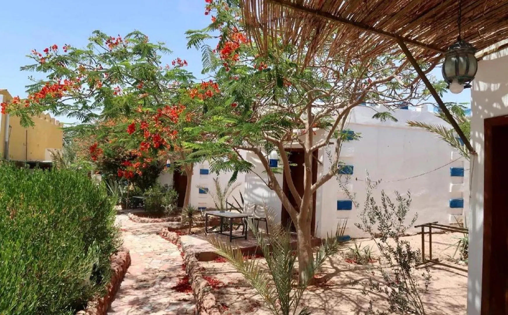 Bedouins Inn Village Akaba